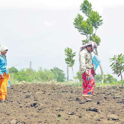 Mahatma Gandhi Rojagar Hami Yojana